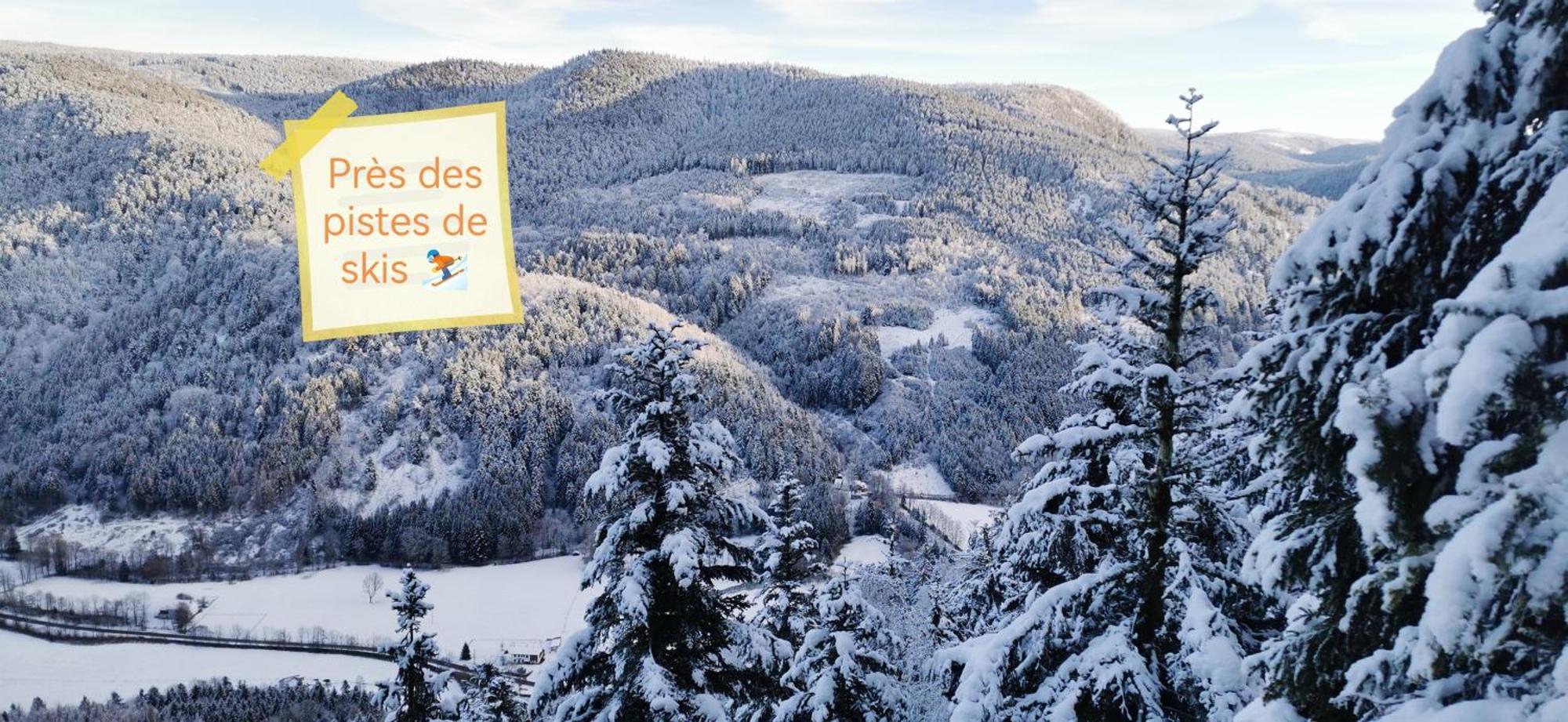 Gite Le Clos Des Vosges Ban-sur-Meurthe-Clefcy Εξωτερικό φωτογραφία